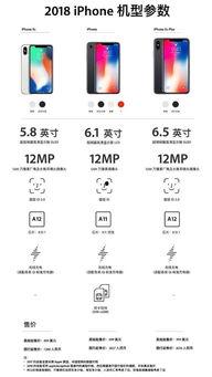 苹果价格最新爆料图今天,行情波动，市场动态一览